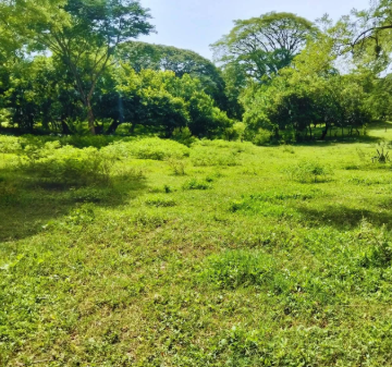 Terreno Campestre
